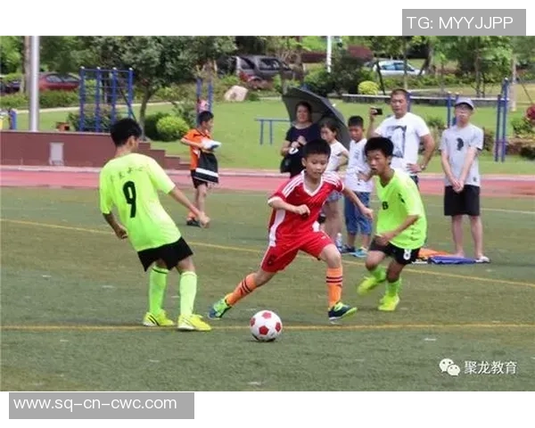 足球比赛中的手势解读与战术应用探讨